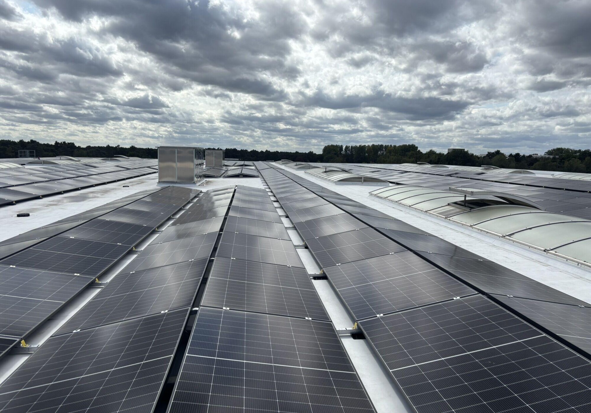 1771962819572 1771962819572